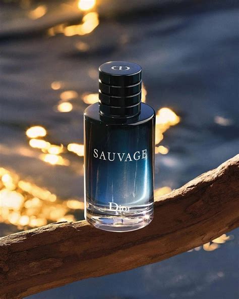 dior herrduefte|Dior sauvage cologne.